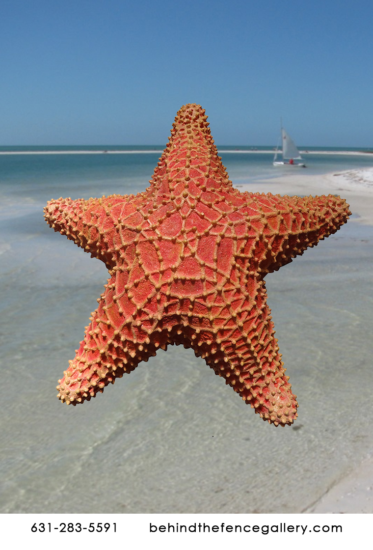 Orange Starfish Statue